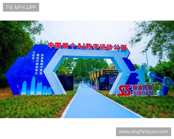 优化智慧体育登录网页流程，提升运动爱好者的使用便捷性与效率